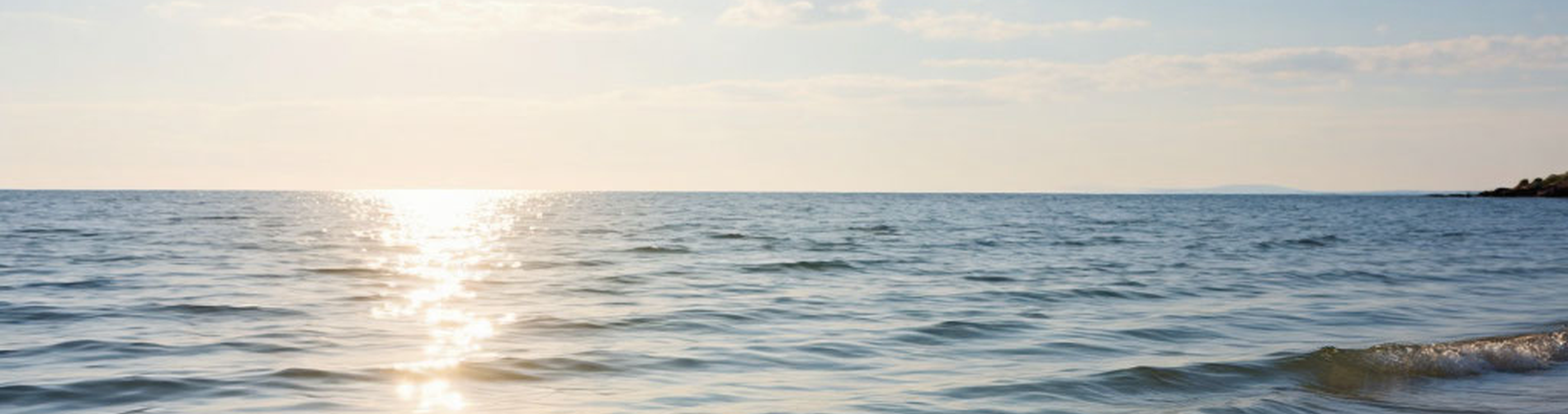 Каспийское море - Межгосударственная экологическая проблема